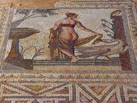 Aphrodite`s mosaic